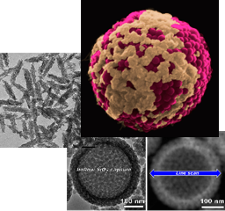 Bioceramics