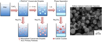 Carbonate